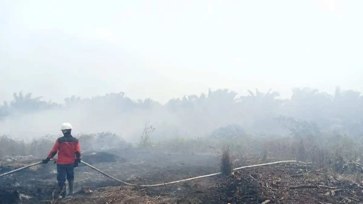 Kenaikan Hotspot Karhutla di Kalbar dan Kalteng sebagai Prioritas Nasional Pendekatan Alternatif Dalam Penanganan Karhutla Kalimantan