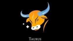 Tantangan Karier Zodiak Taurus: Menghadapi Rekan Kerja yang Berbeda