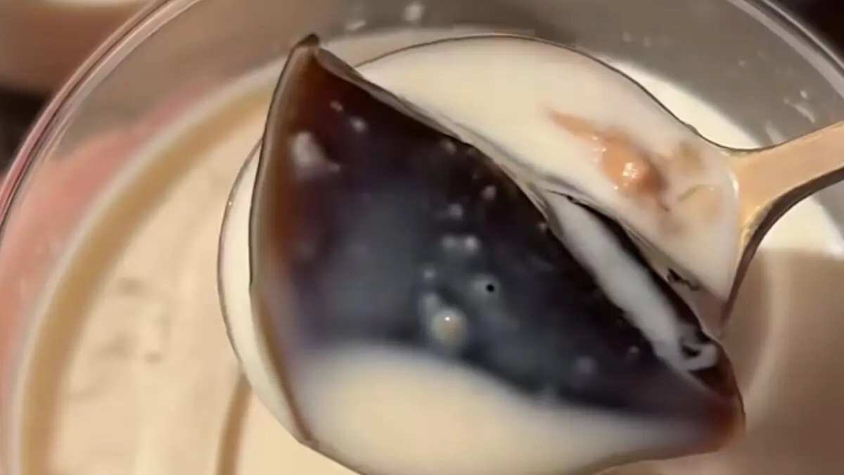 Membuat Japanese Coffee Jelly: Dessert Kenyal dengan Topping Creamy dan Salted Caramel