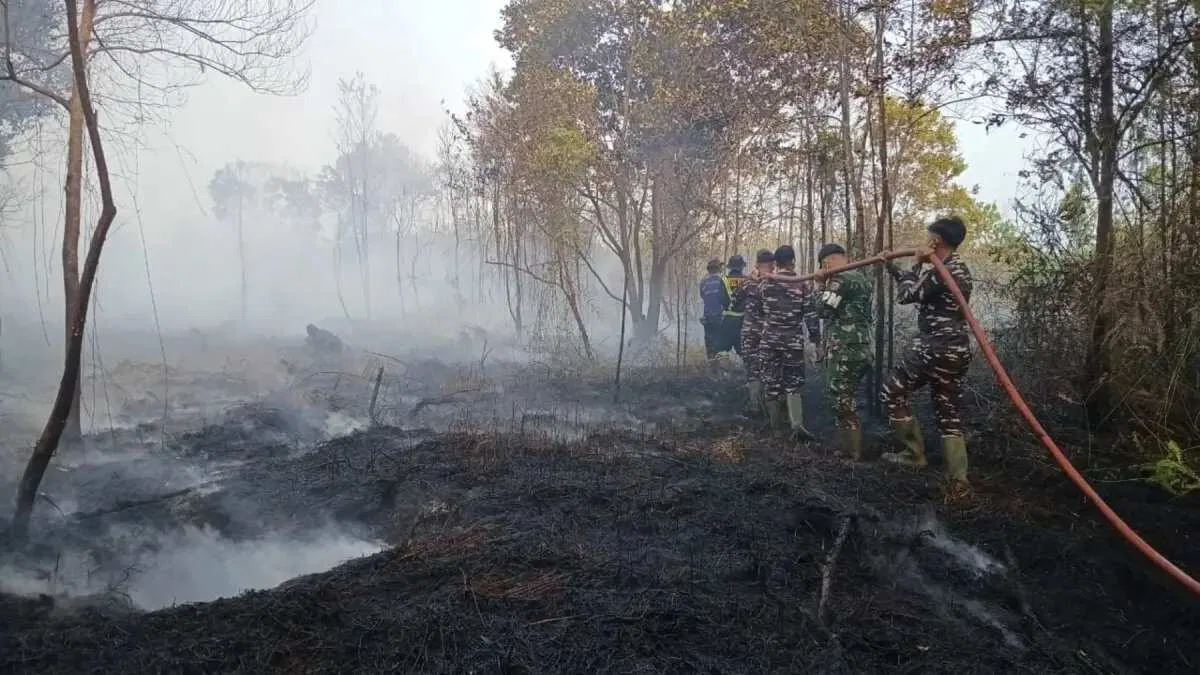 Hujan Potensial di Riau: Dukungan untuk Penanganan Karhutla