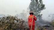 Penerapan Tanggung Jawab Mutlak dalam Kebakaran Hutan dan Lahan