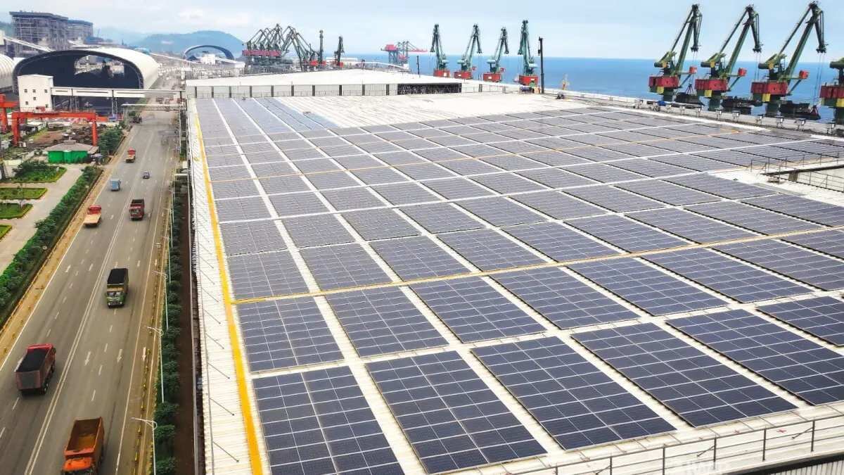 Dorong Eksekusi Proyek Energi Terbarukan