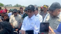 Menteri Pertanian Tinjau Pompanisasi Sawah di Karawang
