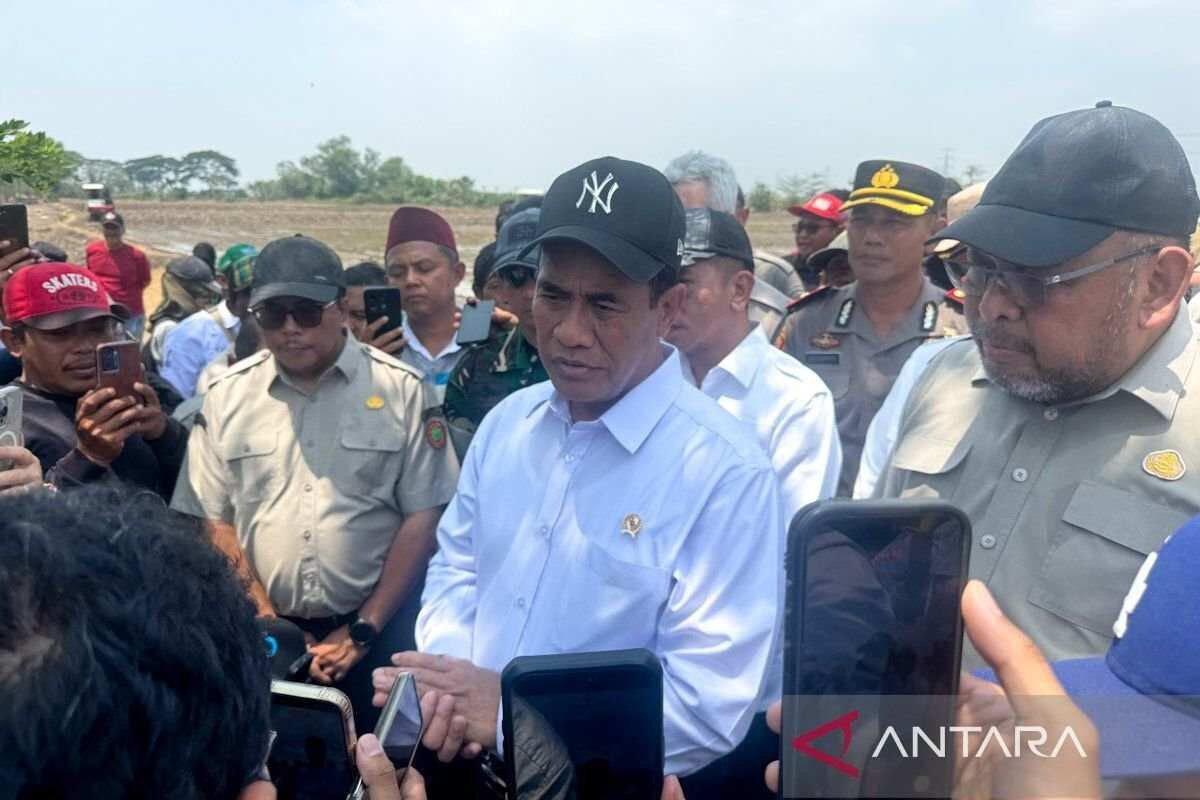 Menteri Pertanian Tinjau Pompanisasi Sawah di Karawang