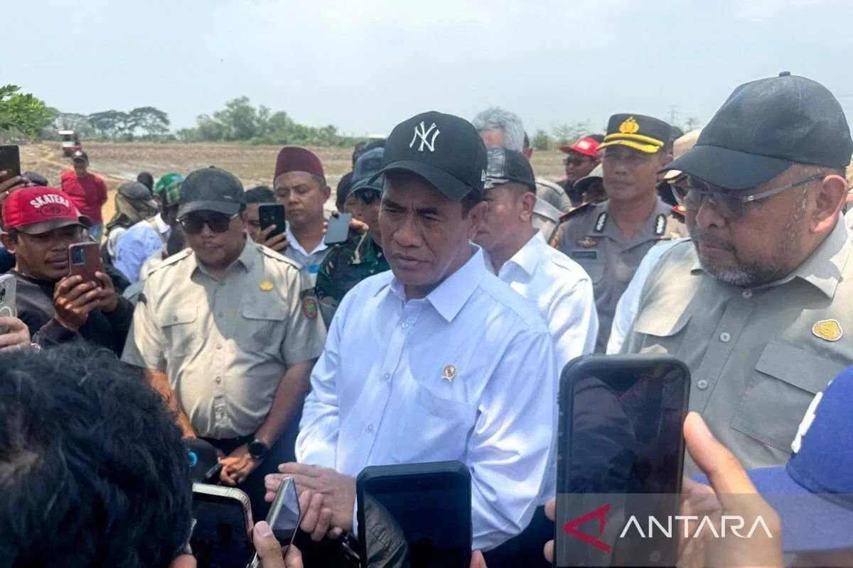 Menteri Pertanian Tinjau Pompanisasi Sawah di Karawang