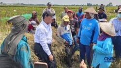 Kebijakan Baru untuk Buruh Tani: Akses Bantuan Alat Pertanian