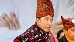 Mengungkap Kejanggalan dalam Foto Melva Pardede yang Direpost Akun Jokowi