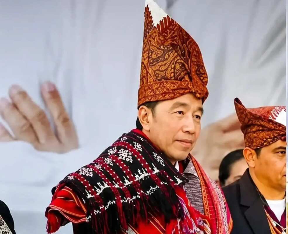 Mengungkap Kejanggalan dalam Foto Melva Pardede yang Direpost Akun Jokowi Mengungkap Kejanggalan dalam Foto Melva Pardede yang Direpost Akun Jokowi