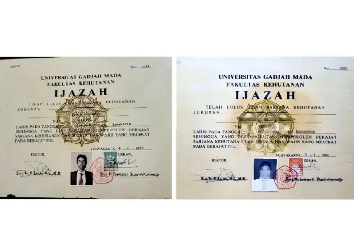 Fakta Terungkap di Balik Font Times New Roman Skripsi Joko Widodo