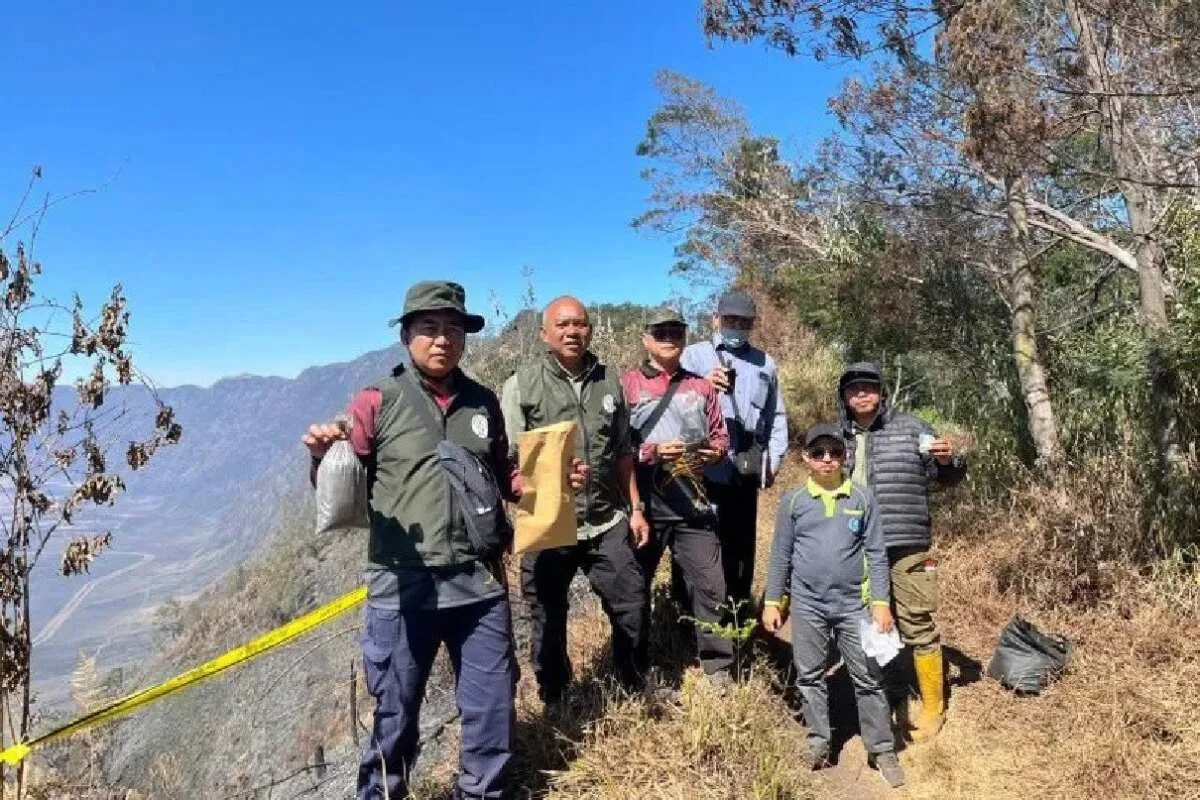 Investigasi Karhutla di Gunung Bromo oleh Kementerian Kehutanan