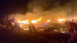 Masalah yang Muncul Saat Musim Kemarau dan Cara Menghadapinya Masalah yang Muncul Saat Musim Kemarau dan Cara Menghadapinya