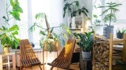 Tips Menjaga Rumah Sejuk Saat Musim Kemarau Tips Menjaga Rumah Sejuk Saat Musim Kemarau