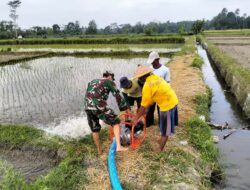 Jaga Ketahanan Pangan, Babinsa Kedawung Turun Ke Sawah Bantu Petani Sedot Air
