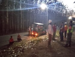 Cepat Tanggap, Babinsa Koramil Sutojayan Bersama Tim Gabungan Berhasil Padamkan Karhutla 2 Hektar Di Blitar