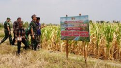 Harmoni dari Desa Leran Kalitidu Bojonegoro: Dusun Sido Kumpul Menuju Panggung Nasional KASAD Award 2026