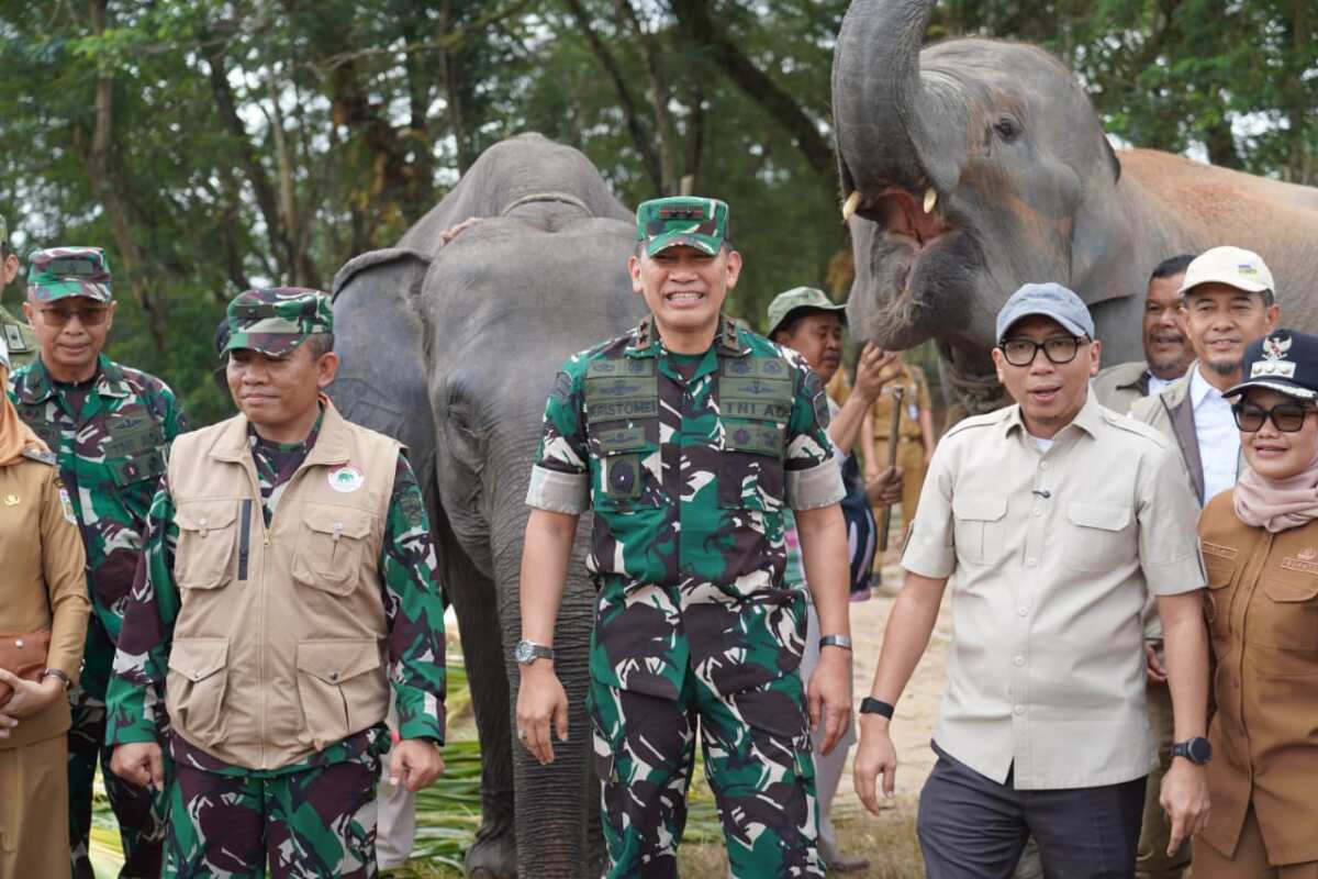 Way Kambas Menuju Benteng Konservasi Modern Way Kambas Menuju Benteng Konservasi Modern
