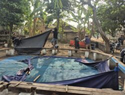 Respons Cepat Aduan Warga, Polres Nganjuk Bongkar Dua Lokasi Sabung Ayam
