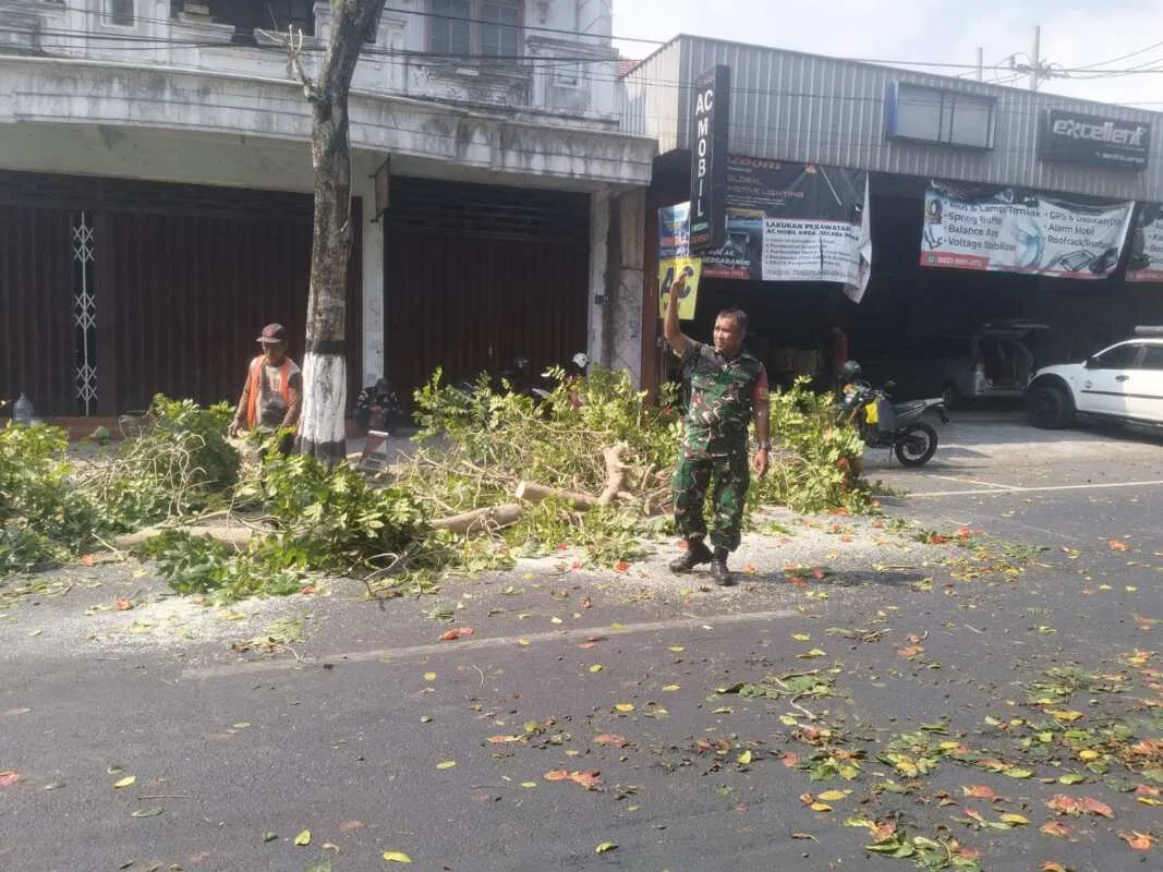 Antisipasi Pohon Tumbang Di Musim Pancaroba, Babinsa Sukorejo Bersinergi Dengan DLH Kota Blitar