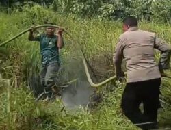 Karhutla Melanda Lahan Warga, Personel Polsek Rantau Selamat Turun Padamkan Api