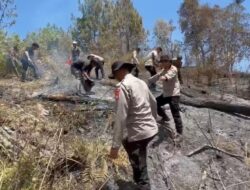 Karhutla Hanguskan 5 Hektare Lahan di Mamasa, Polisi dan Damkar Berjibaku Padamkan Ap