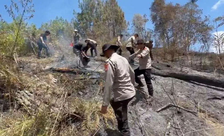 Karhutla Hanguskan 5 Hektare Lahan di Mamasa, Polisi dan Damkar Berjibaku Padamkan Ap