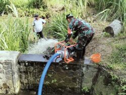 Jaga Ketahanan Pangan, Babinsa Kedawung Turun Ke Sawah Bantu Petani Sedot Air
