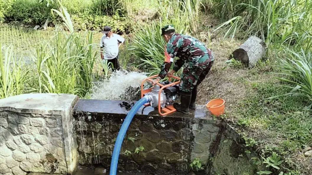 Jaga Ketahanan Pangan, Babinsa Kedawung Turun Ke Sawah Bantu Petani Sedot Air
