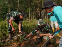 Sambut HUT TNI ke-81, Kodim 1008/Tabalong Wujudkan Tabalong yang Lebih Hijau