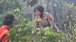 Sinergi Polres Kendal dan BPBD, Gerak Cepat Evakuasi Pohon Tumbang yang Menimpa Truk di Jalan Soekarno Hatta