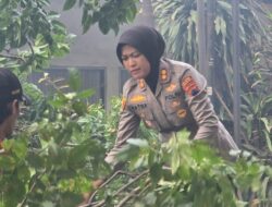 Sinergi Polres Kendal dan BPBD, Gerak Cepat Evakuasi Pohon Tumbang yang Menimpa Truk di Jalan Soekarno Hatta
