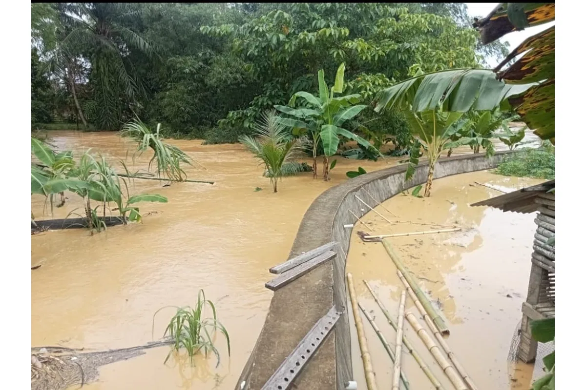Banjir Rendam Sejumlah Titik di Langsa, Tumpukan Sampah dan Kayu di Aliran Sungai Jadi Sorotan