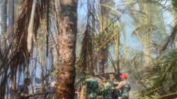 Kobaran Api Mengancam Lahan SMK Tim Gabungan TNI-Polri dan Warga Bergerak Cepat Padamkan Api