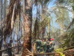 Kobaran Api Mengancam Lahan SMK Tim Gabungan TNI-Polri dan Warga Bergerak Cepat Padamkan Api