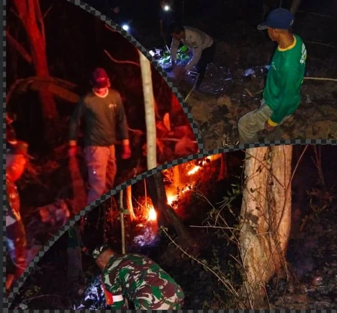 Aksi Sigap Babinsa Dan Warga Padamkan Kebakaran Hutan Jati Di Pagerwojo Blitar