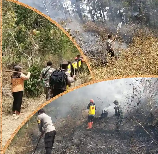 Polres Ngawi dan Tim Gabungan Jinakan Api di Gunung Botak, Medan Berat Jadi Tantangan