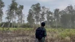 Cegah Karhutla Sejak Dini, TNI Intensifkan Patroli Udara di Taman Nasional Way Kambas Cegah Karhutla Sejak Dini, TNI Intensifkan Patroli Udara di Taman Nasional Way Kambas