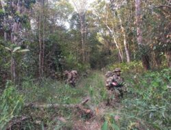 Pasukan Airborne SGS 2026 Laksanakan Operasi Lanjutan Dalam Materi Jungle FTX