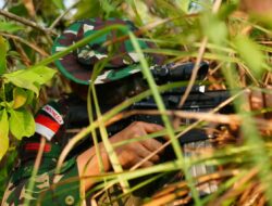 Jungle FTX Asah Kemampuan Tempur Pasukan Multinasional di Medan Hutan