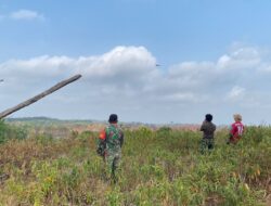 TNI Perkuat Penanganan Karhutla di Kawasan IKN Melalui Darat dan Udara