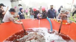 Strategi Inovatif Melawan Kebakaran Hutan dan Lahan di Kalimantan Selatan