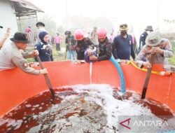 Strategi Inovatif Melawan Kebakaran Hutan dan Lahan di Kalimantan Selatan