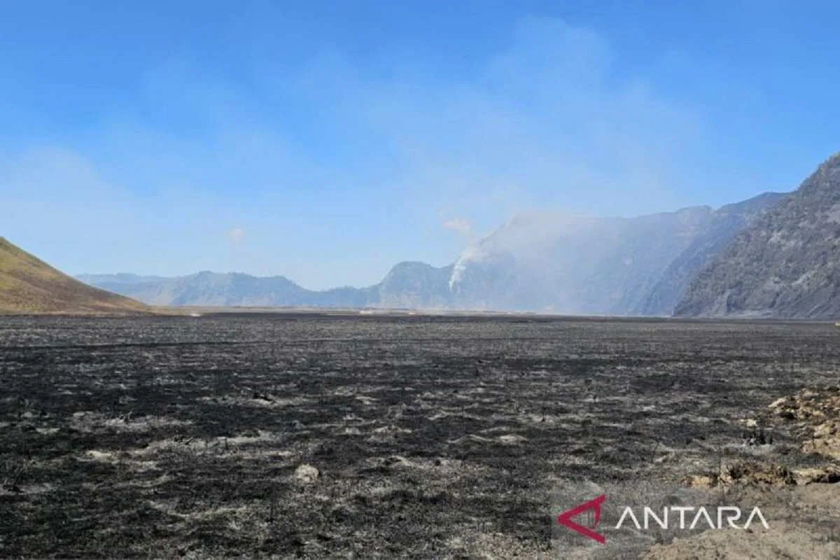 Investigasi Dugaan Pidana Kebakaran Hutan dan Lahan di Gunung Bromo