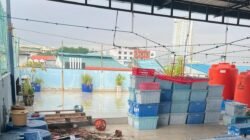 Pembunuhan Tragis di Batam: Seorang Pembantu Diduga Akhiri Nyawa Majikan