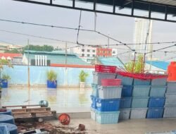 Pembunuhan Tragis di Batam: Seorang Pembantu Diduga Akhiri Nyawa Majikan