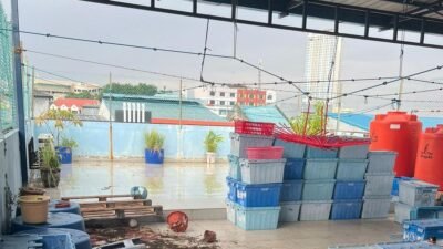 Pembunuhan Tragis di Batam: Seorang Pembantu Diduga Akhiri Nyawa Majikan
