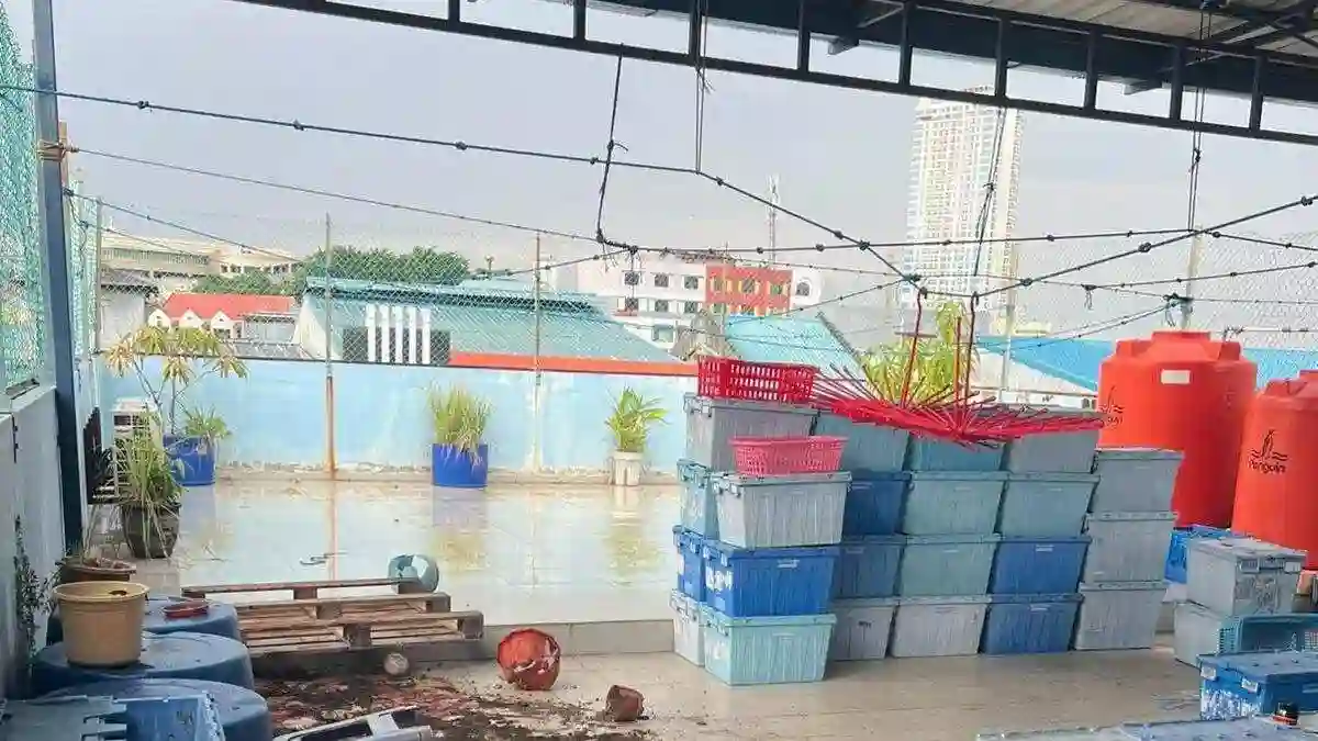 Pembunuhan Tragis di Batam: Seorang Pembantu Diduga Akhiri Nyawa Majikan