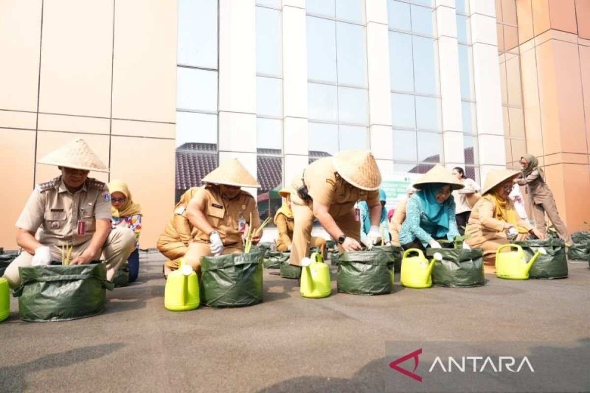 Pemerintah Kota Jakarta Pusat Memperkuat Ketahanan Pangan Pemerintah Kota Jakarta Pusat Memperkuat Ketahanan Pangan