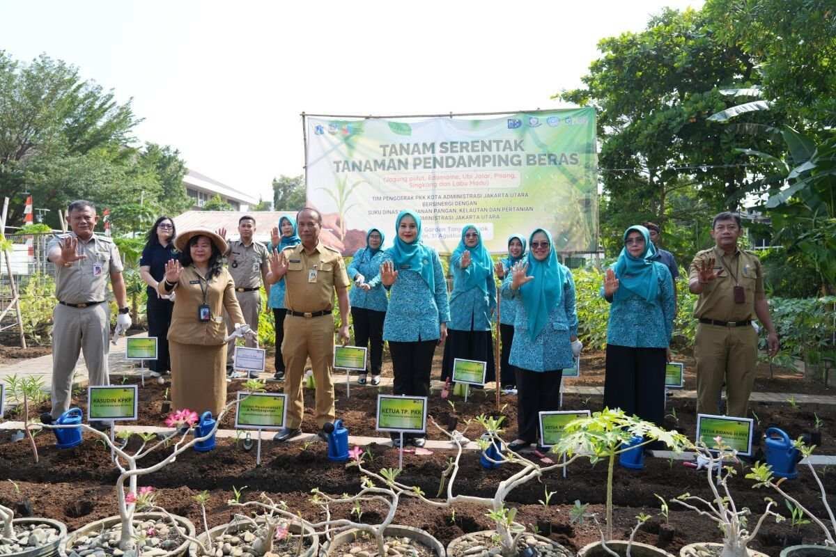 Komoditas Pangan Pendamping Beras di Jakarta Utara Komoditas Pangan Pendamping Beras di Jakarta Utara