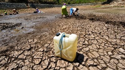 Strategi Menghadapi Fenomena El Nino di Indonesia