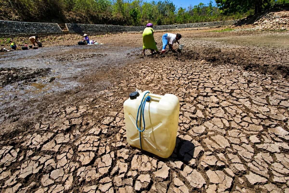 Strategi Menghadapi Fenomena El Nino di Indonesia Strategi Menghadapi Fenomena El Nino di Indonesia